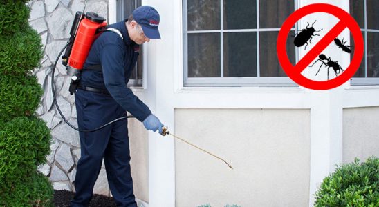 Palu Kemirgen İlaçlama böcek ilaçlama ve haşere kontrolü — ilaclama-tr.com